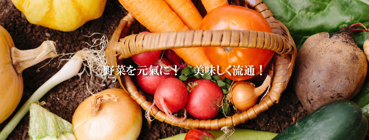 一般社団法人 日本野菜協会