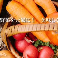 一般社団法人日本野菜協会